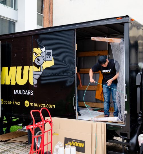 muuv 19