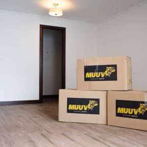 muuvcajas