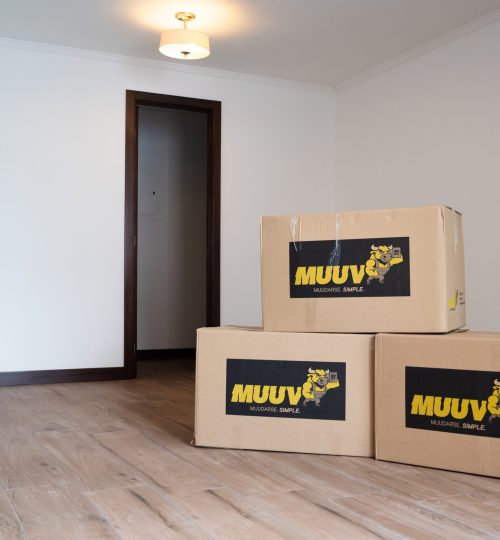 muuvcajas